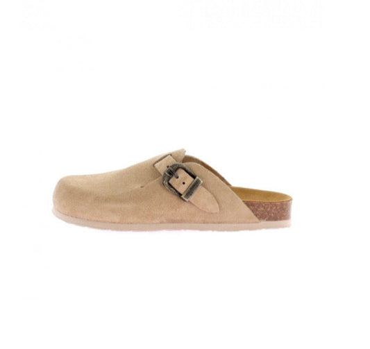 Sabot Plakton